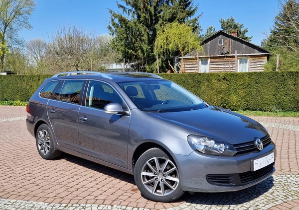 Volkswagen Golf cena 23777 przebieg: 202000, rok produkcji 2010 z Żyrardów małe 407